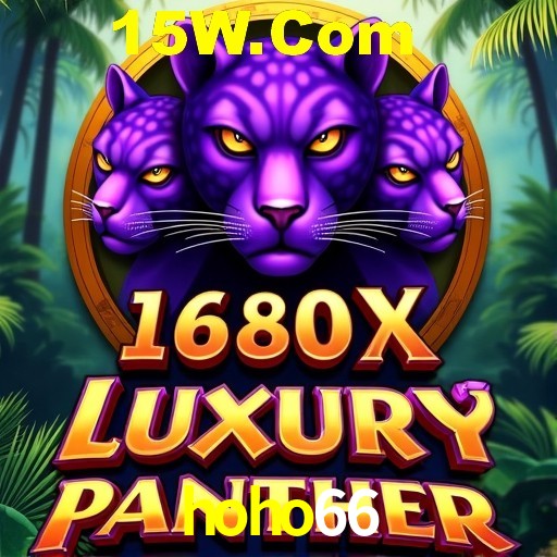 Interface Premium hoho66